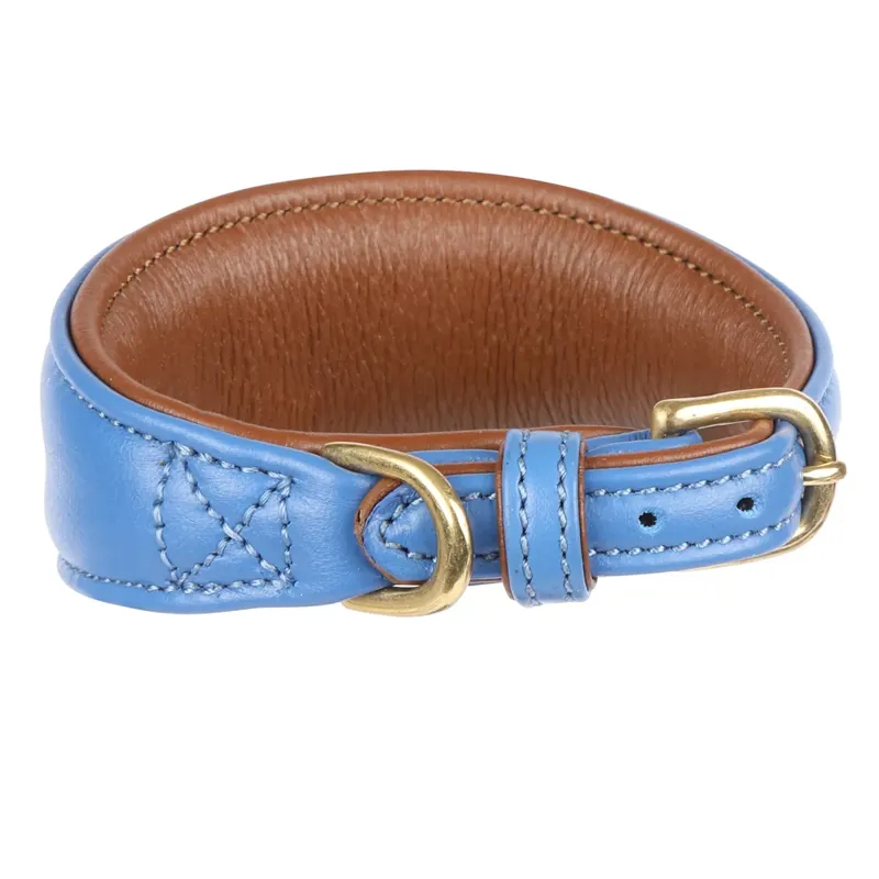 Shires Digby and Fox Padded Greyhound Collar - Royal